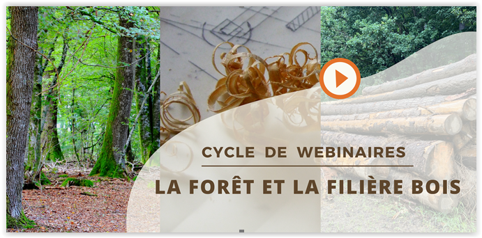 Cycle De Webinaires La For t Et La Fili re Bois Envirobat Centre